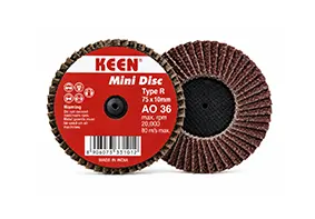 Flap Discs